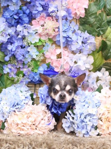 20250625ボーくん